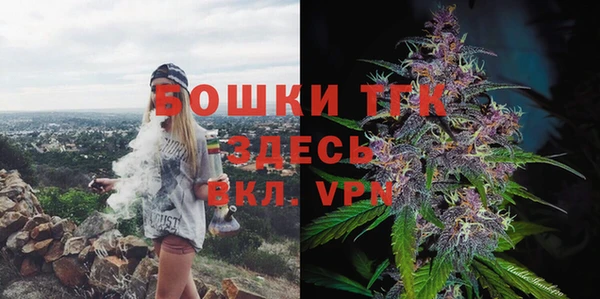 гашик Белокуриха