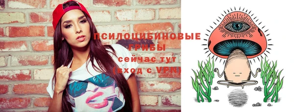гашик Белокуриха
