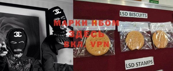 гашик Белокуриха