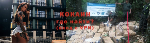 гашик Белокуриха