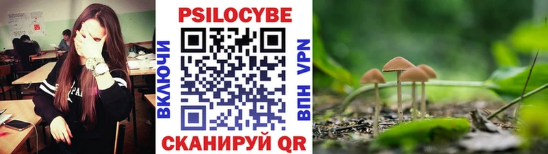 магазин продажи   Ефремов  Галлюциногенные грибы Magic Shrooms 